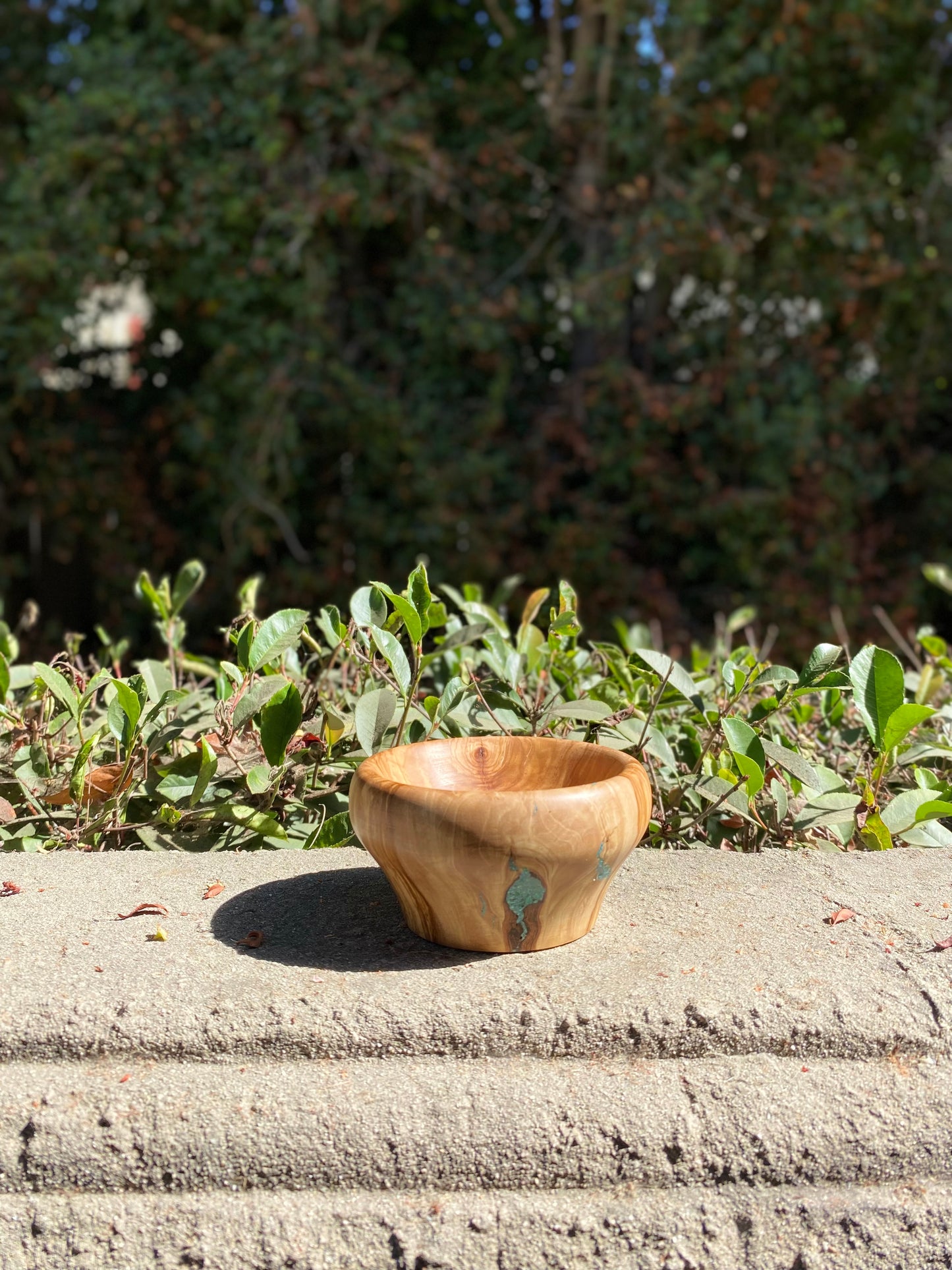 Olive Wood Bowl