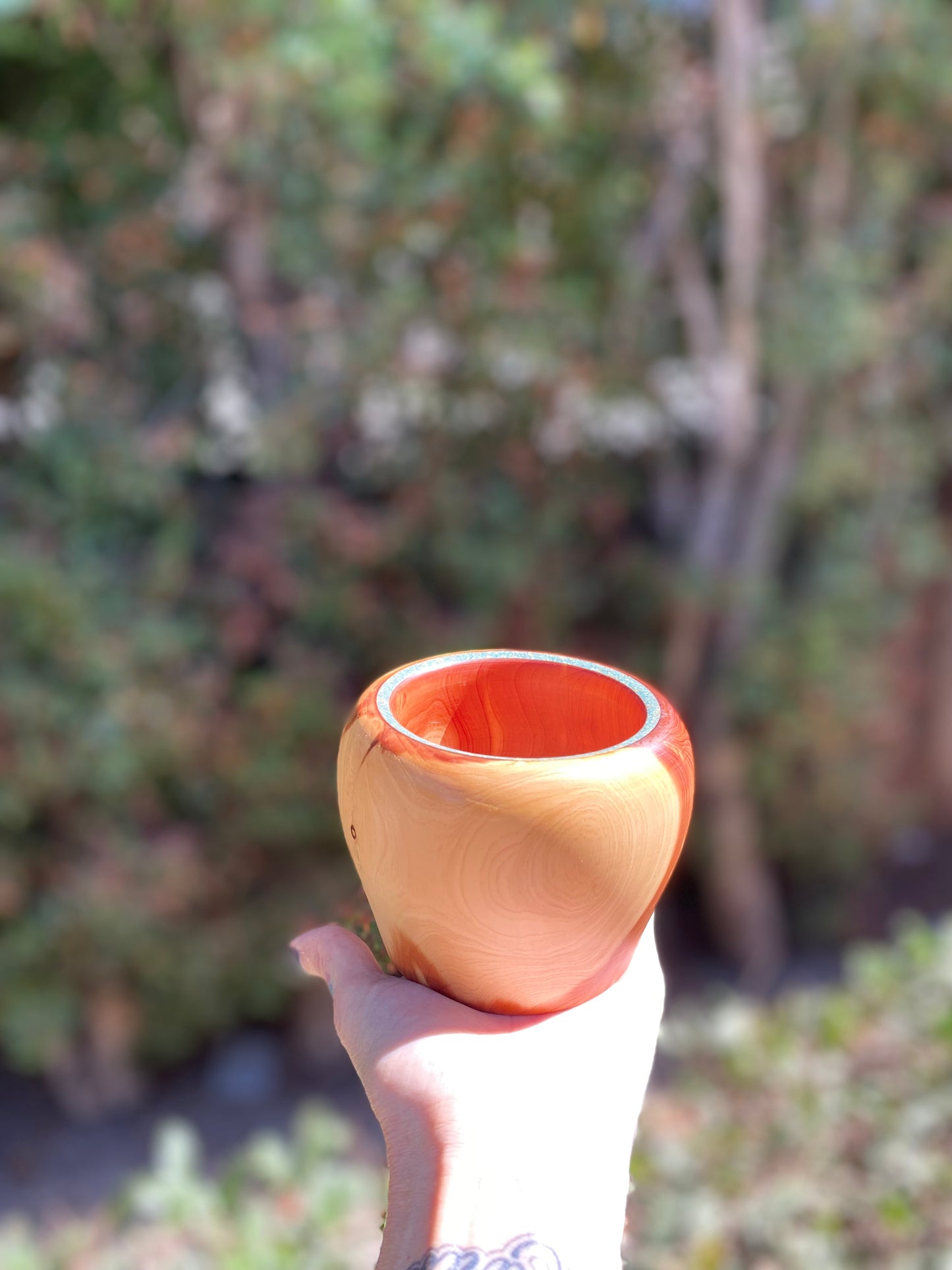 Cypress with Turquoise Wood Bowl