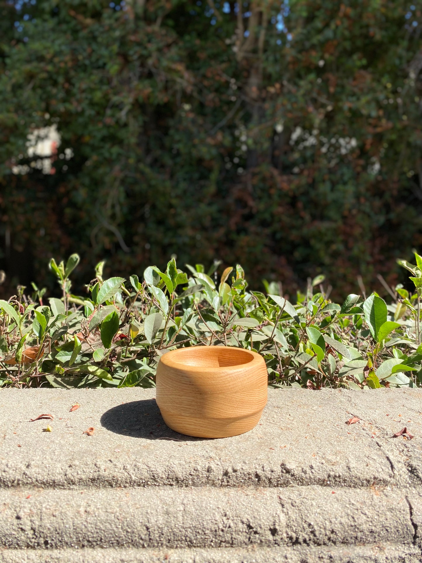 Wood Bowl