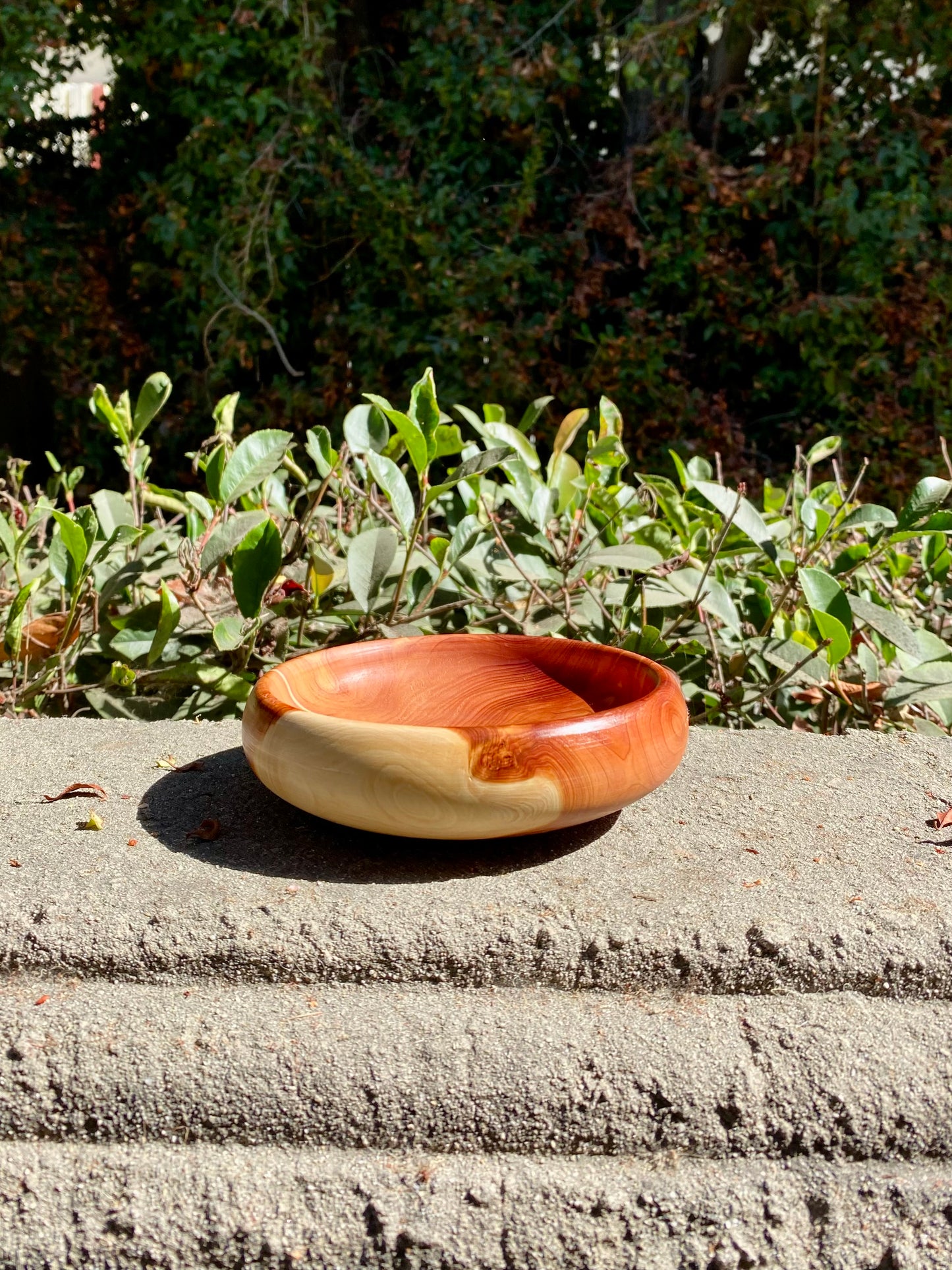 Hand Turned Wood Bowl