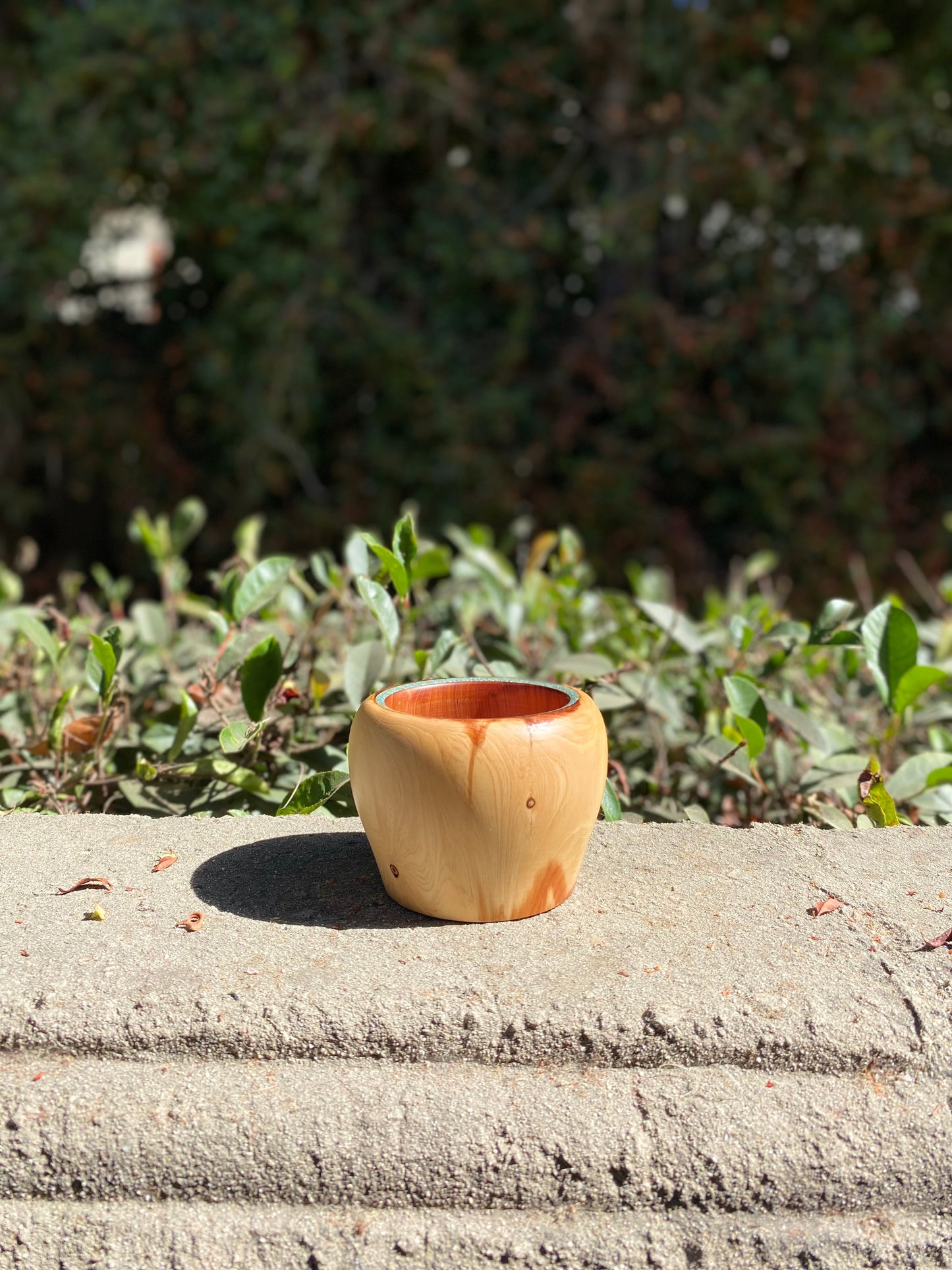 Cypress with Turquoise Wood Bowl