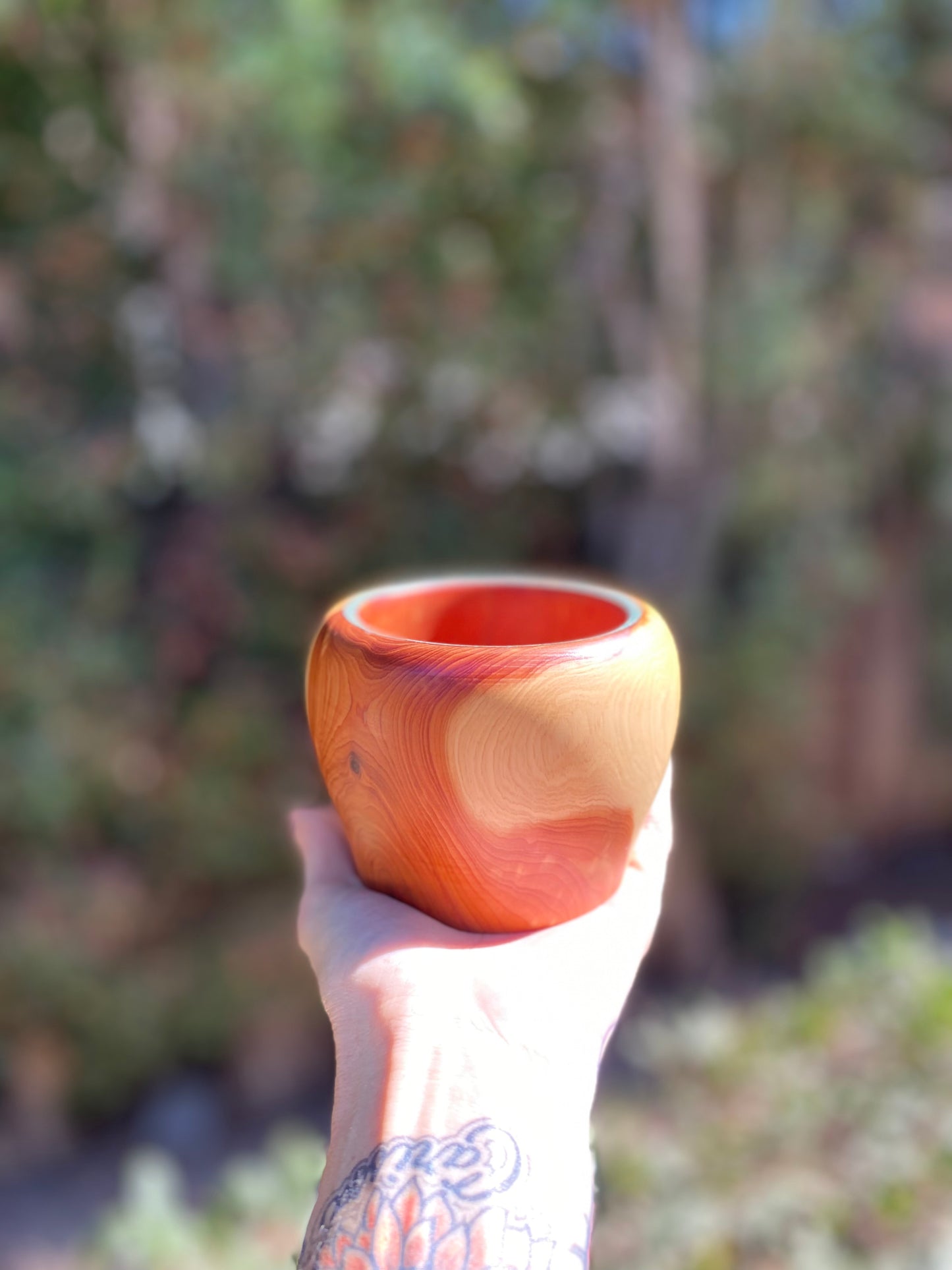 Cypress with Turquoise Wood Bowl