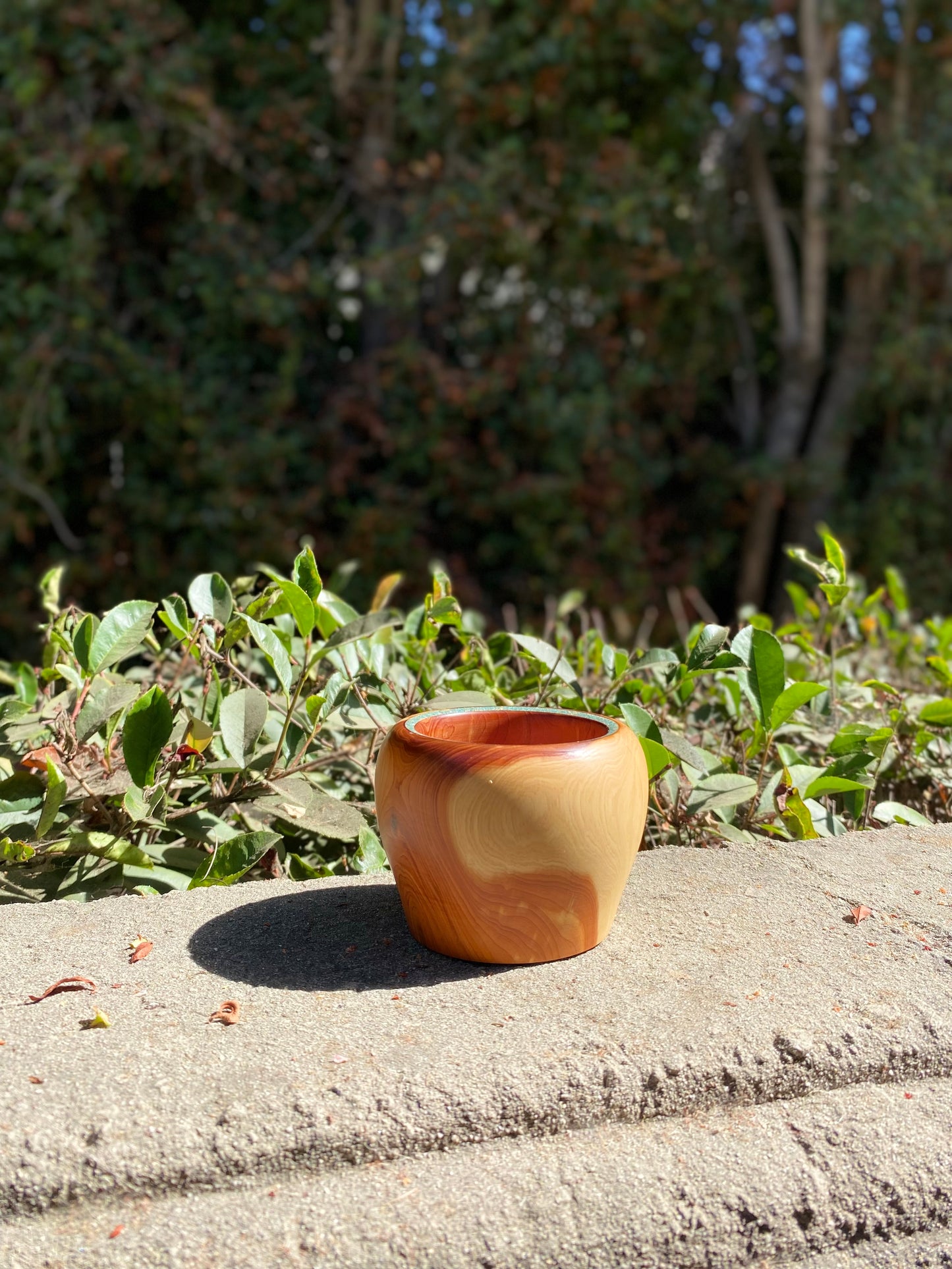 Cypress with Turquoise Wood Bowl