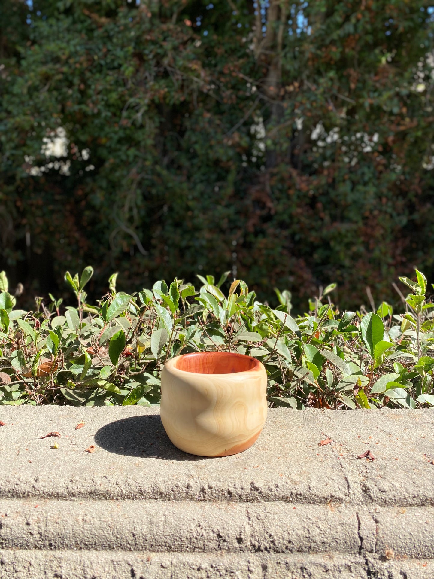 Cypress Wood Bowl