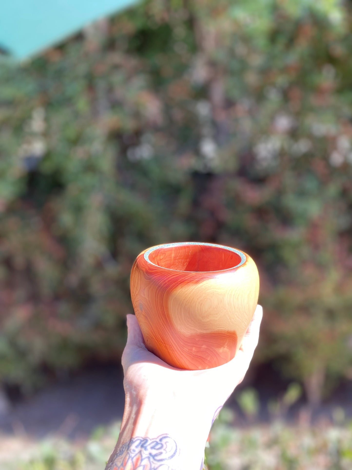 Cypress with Turquoise Wood Bowl