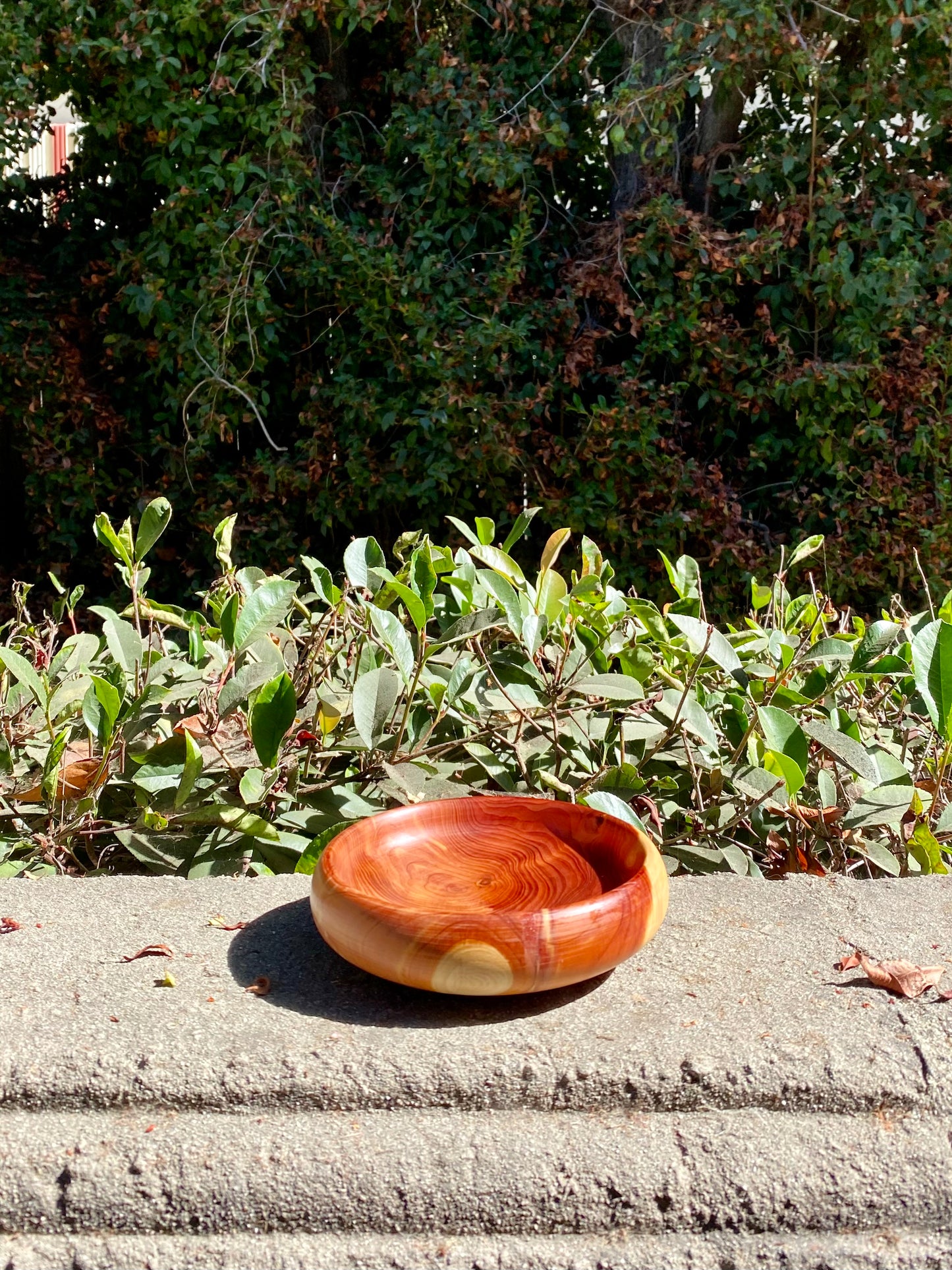 Hand Turned Wood Bowl