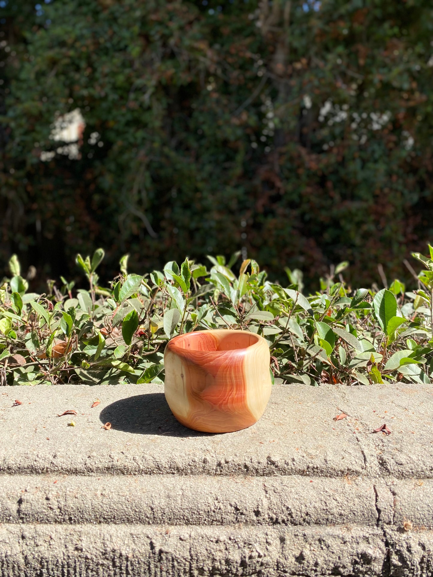 Cypress Wood Bowl