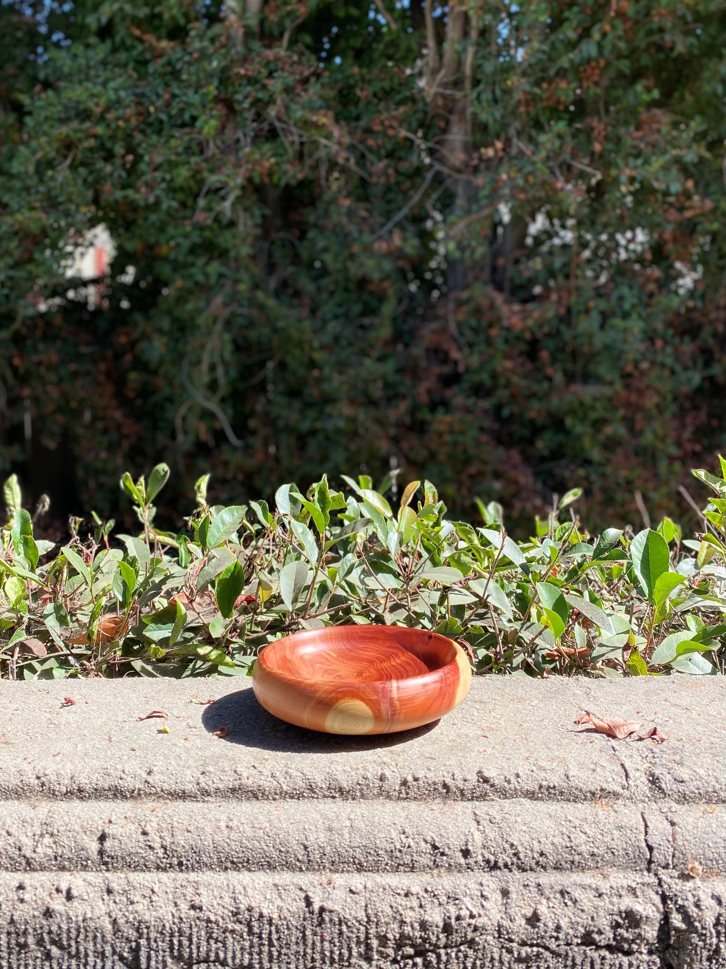 Hand Turned Wood Bowl