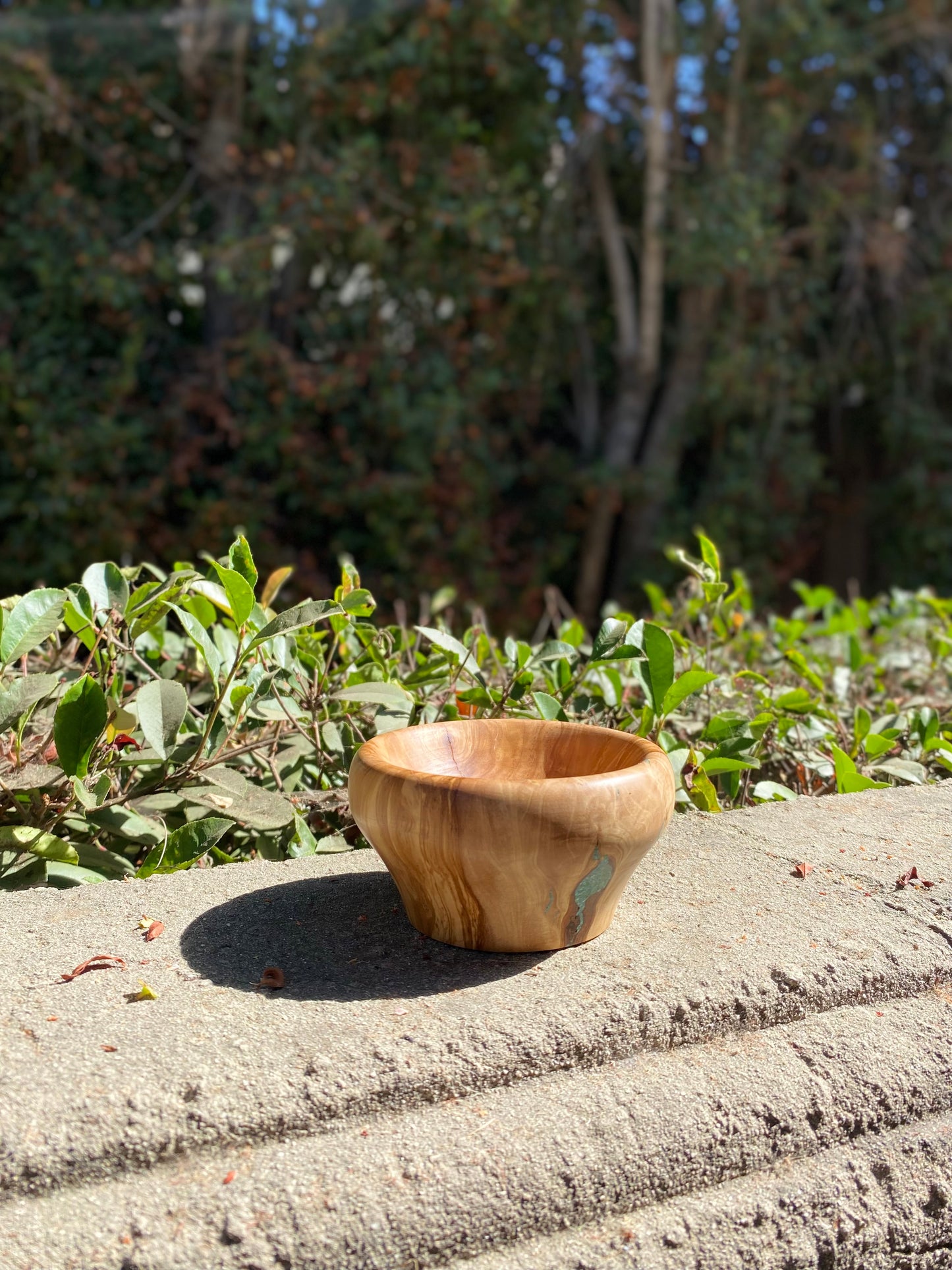 Olive Wood Bowl