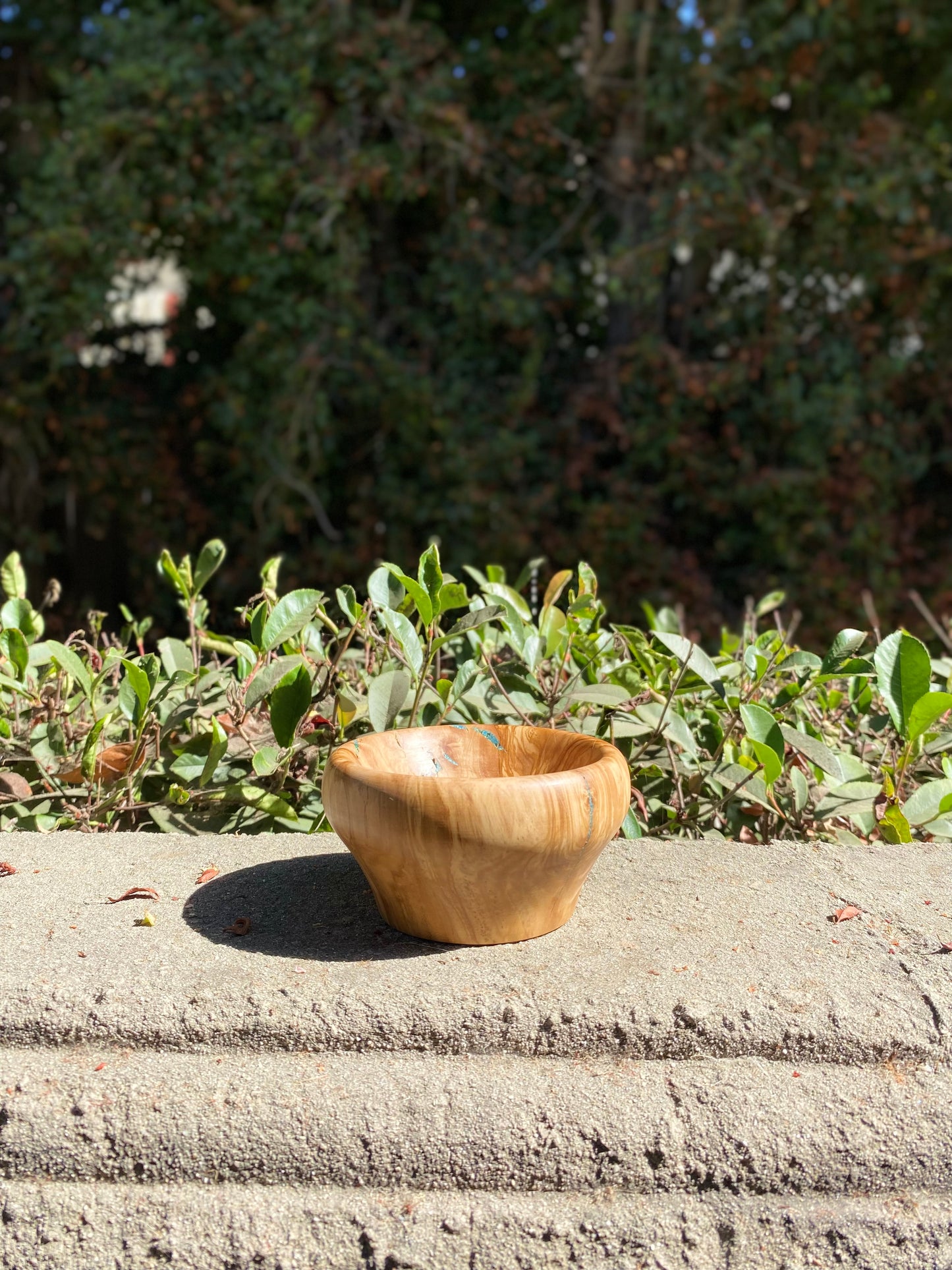 Olive Wood Bowl