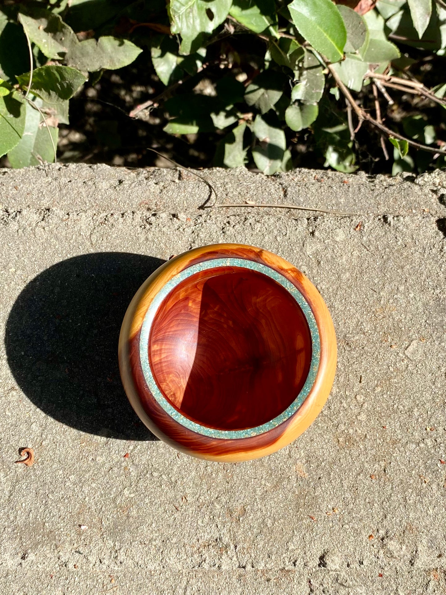 Cypress with Turquoise Wood Bowl